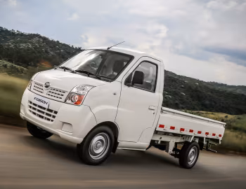 Lifan Foison Truck '2011–16