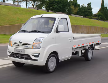 Lifan Foison Truck '2016–20