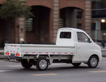 Lifan Foison Truck '2016–20