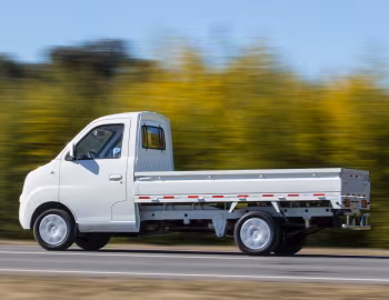 Lifan Foison Truck '2016–20