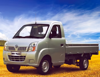 Lifan Mini Truck (LF1022) '2011–16