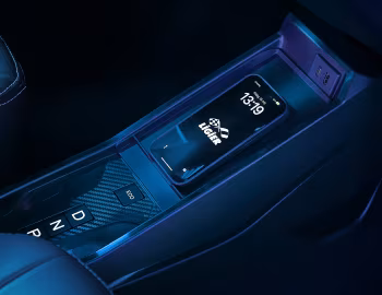 Intérieur Ligier Myli R.EBEL '2025–pr.