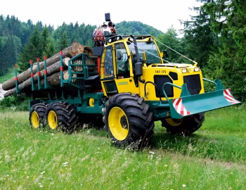 LKT 175 '2013–19