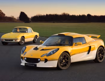 Lotus