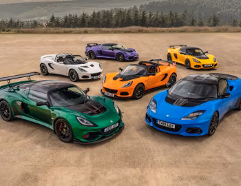 Lotus