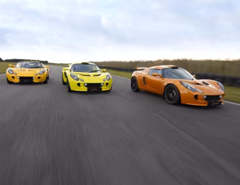 Lotus