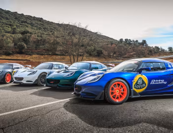 Lotus