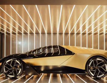 Lotus Theory 1 '09.2024