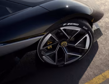 Lotus Theory 1 '09.2024