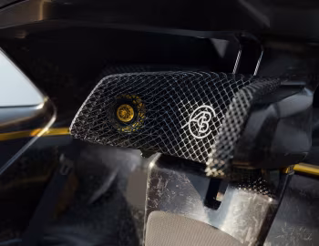 Interior Lotus Theory 1 '09.2024