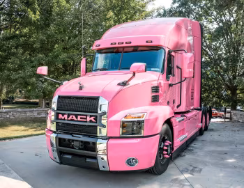 Mack Anthem "Pink Lady" '10.2018