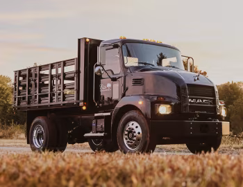 Mack MD6 Stake Truck '09.2020–pr.
