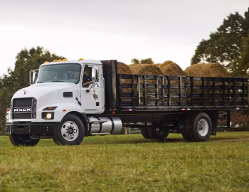 Mack MD7 Stake Truck '09.2020–pr.
