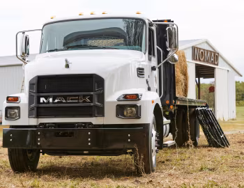 Mack MD7 Stake Truck '09.2020–pr.