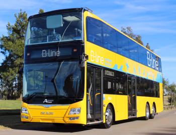 MAN A95 [Australia] '2017