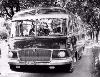 MAN 420 HOC 1 Drögmöller '1957–63