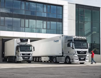 MAN TGM 18.290 refrigerator truck, MAN TGX 18.640 4×2 BLS XXL cab