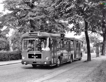 MAN SG 192 R Göppel [UK-spec] (AB59D) '09–10.1979