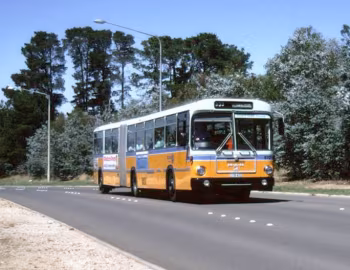 MAN SG 192 Custom Coaches demonstrator [Australia] (AC63FR) '1982