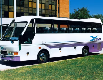 MAN ZLiner '2000–????