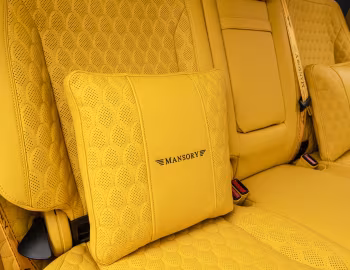 Інтер'єр Mansory Gronos (Br.463) '2024