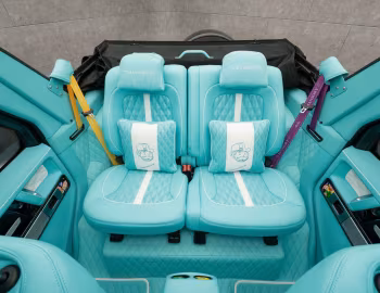 Interior Mansory Speranza "AL3C MONO907Y" (Br.463) '2025