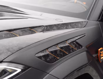 Mansory Venatus SE '2025