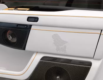 Інтер'єр Mansory Zeekr 9X "First Edition" '2026