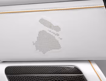 Інтер'єр Mansory Zeekr 9X "First Edition" '2026
