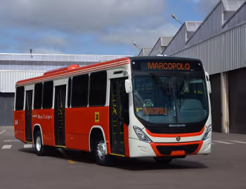 Mercedes-Benz OF 1722 Marcopolo Torino [Latam] (G8) '2015–18
