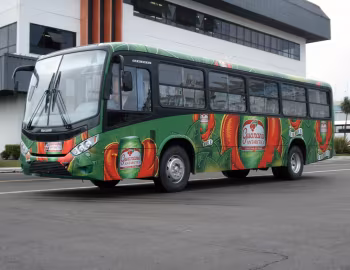 Marcopolo Senior Midi '2006–pr.