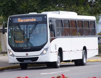Marcopolo Torino S (G8) '05.2017–pr.