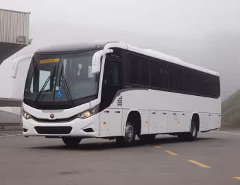 Marcopolo Viaggio 800 '2021–pr.