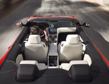 Intérieur Maserati GranCabrio Sport (M145) '2012–17