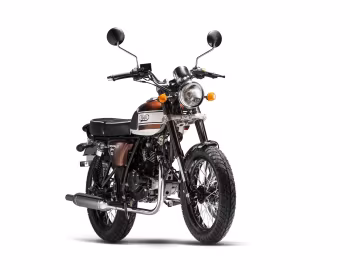 Mash Seventy Five Brown '2015–pr.