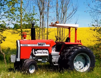 Massey Ferguson 1155 '1973–78