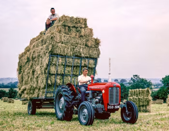 Massey Ferguson 35 Platform '1957–62