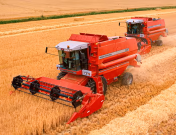 Massey Ferguson 38 '1996–????