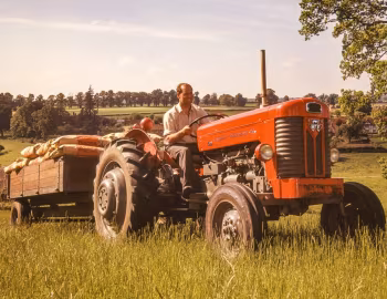 Massey Ferguson 65 '1958–64