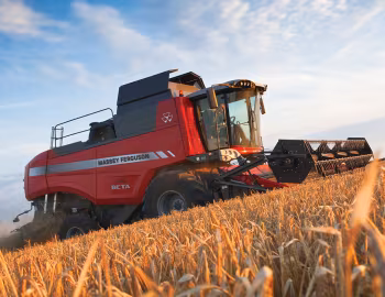 Massey Ferguson Beta 7370 '2011–н.в.