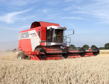 Massey Ferguson Cerea '2000–08