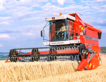 Massey Ferguson '11.1957–н.ч.