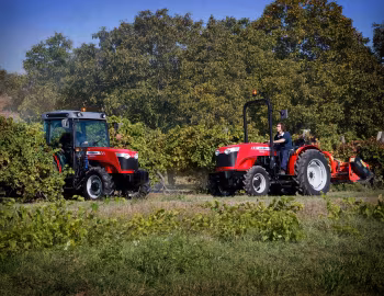 Massey Ferguson 3655 F, Massey Ferguson 3635 V