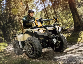 2018–pr. Yamaha Kodiak 450 EPS '07.2017–pr.