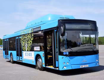 МАЗ-203.965 '2013–21