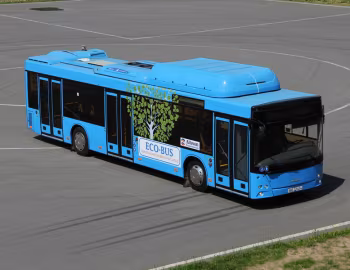 МАЗ-203.965 '2013–21