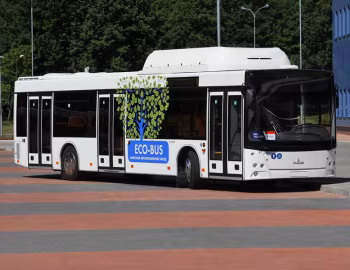 МАЗ-203.965 '2013–21