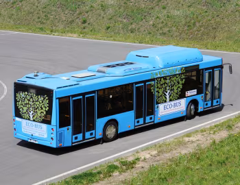 МАЗ-203.965 '2013–21