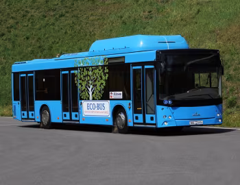 МАЗ-203.965 '2013–21