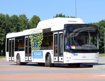 МАЗ-203.965 '2013–21
